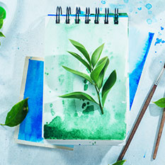 papel y lienzos de arte