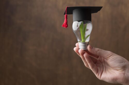 El Arte de Aprender: Más Allá de las Clases